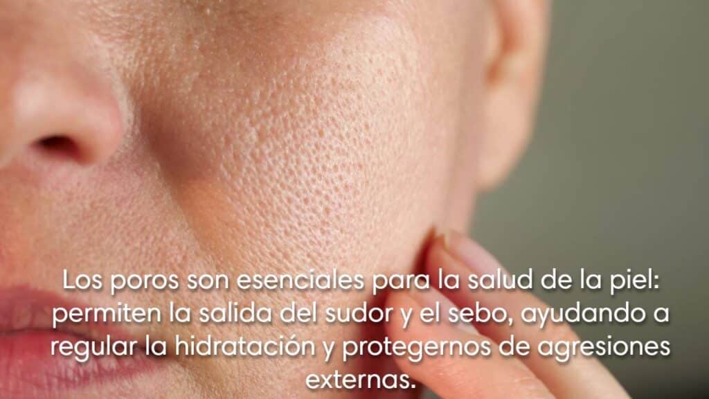 importancia de no tener los poros dilatados